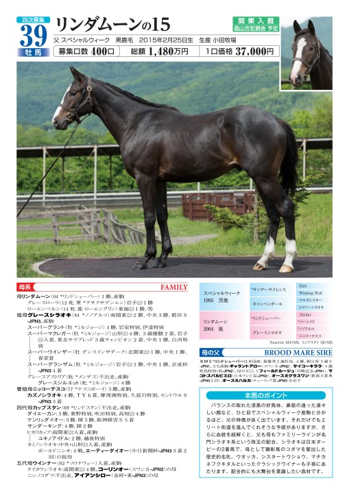 15年産4次募集馬