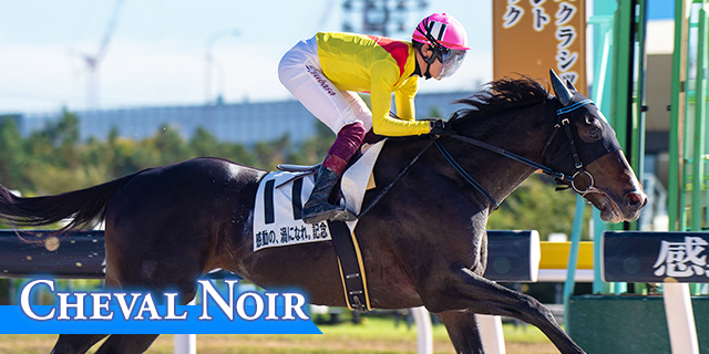 シュヴァルノワール