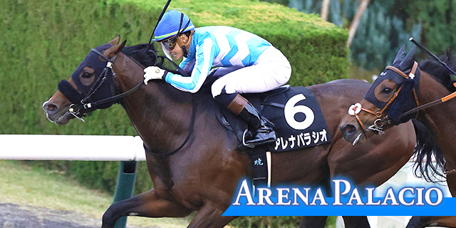 アレナパラシオ