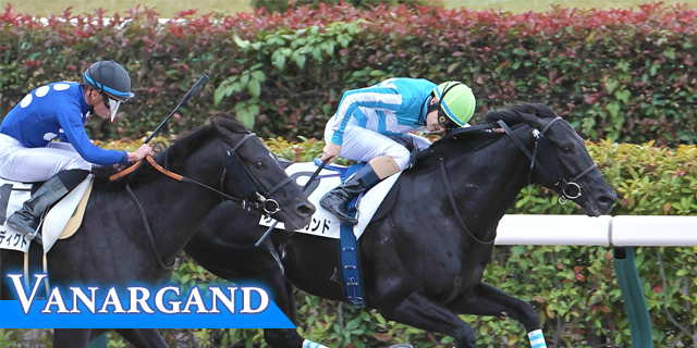 ヴァナルガンド