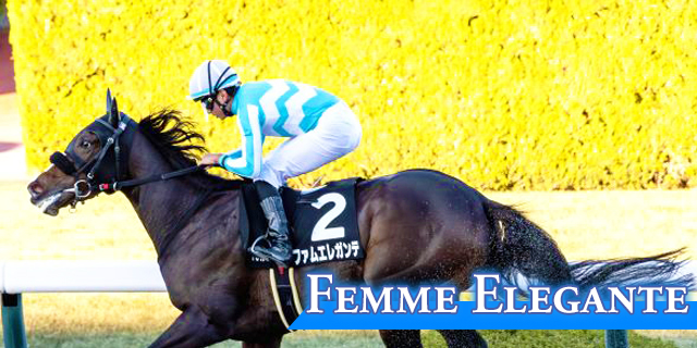 ファムエレガンテ