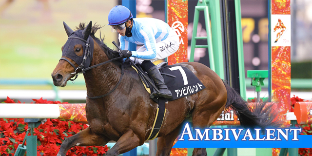 アンビバレント