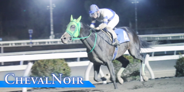 シュヴァルノワール