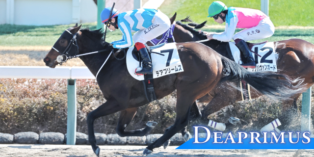 デアプリームス