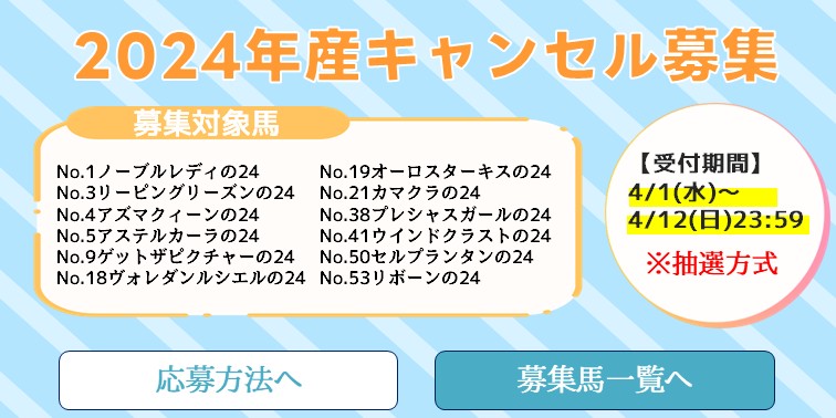 満口馬キャンセル募集