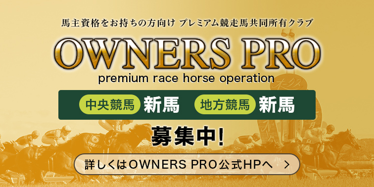 OWNERSPRO
