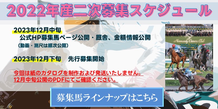 二次募集