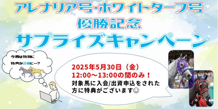 サプライズキャンペーン