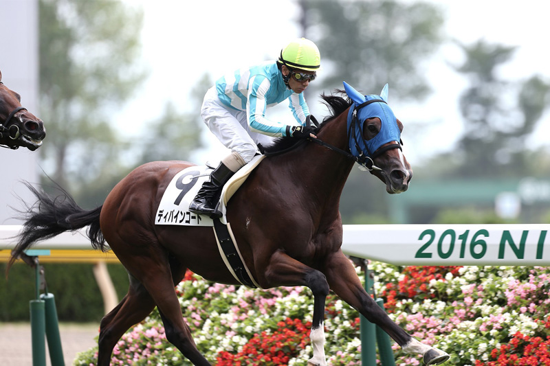 所属馬詳細 ノルマンディーオーナーズクラブ 所属馬詳細 ノルマンディーオーナーズクラブ