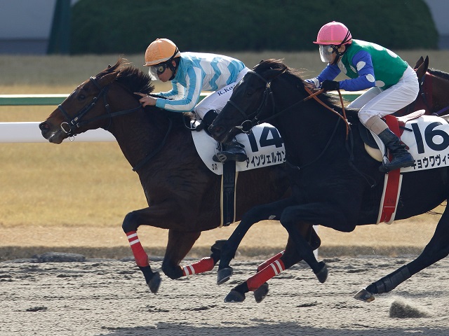 所属馬詳細 ノルマンディーオーナーズクラブ