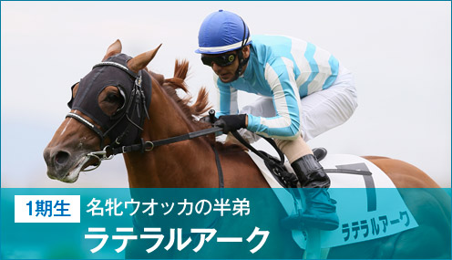ラテラルアーク