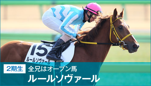 ルールソヴァール