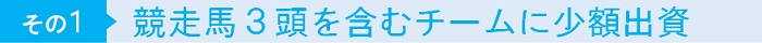 その1 競走馬4頭を含むチームに少額出資