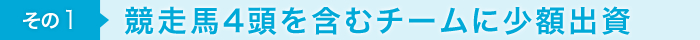 その1 競走馬4頭を含むチームに少額出資